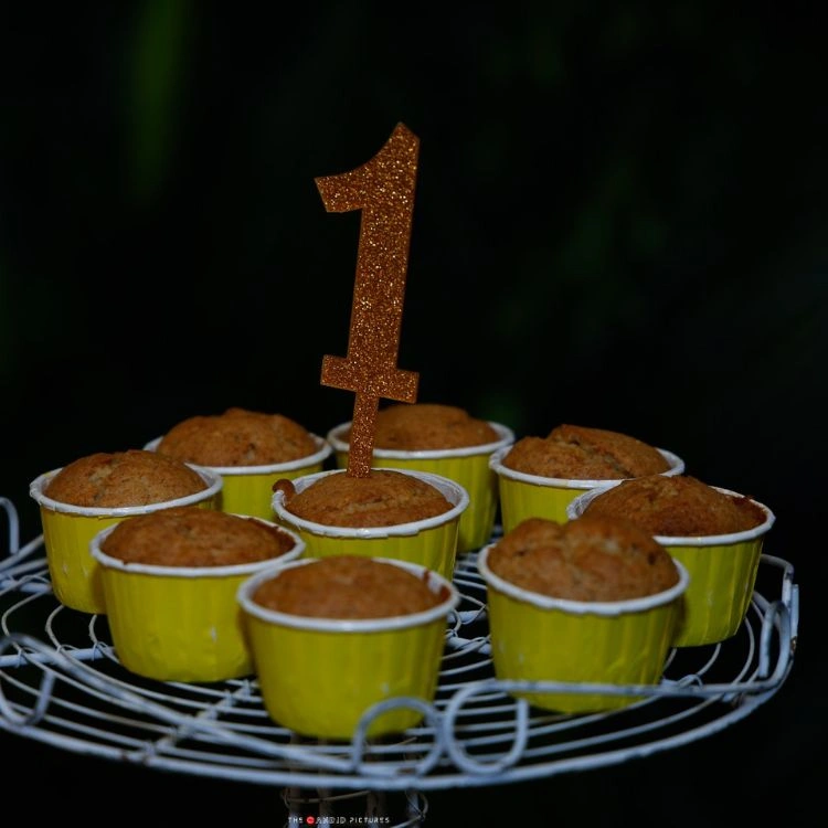 Order jungle theme birthday decor with cake and props